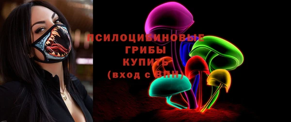 бошки Кодинск