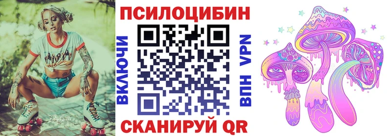 Купить где  Мурино  Псилоцибиновые грибы прущие грибы 